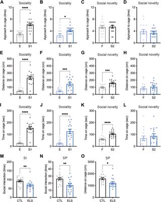 Early Life Stress Alters Gene Expression and Cytoarchitecture in the Prefrontal Cortex Leading to Social Impairment and Increased Anxiety